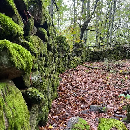 Feriehus Terracea