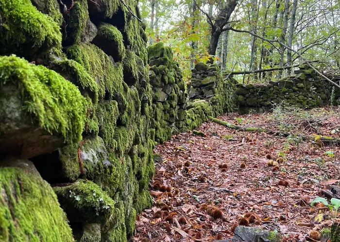 Casa vacanze Terracea